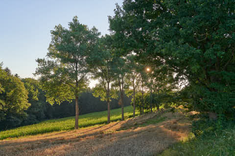 Gemeinde Reut Landkreis Rottal-Inn Taubenbach Ecken Landschaft (Dirschl Johann) Deutschland PAN